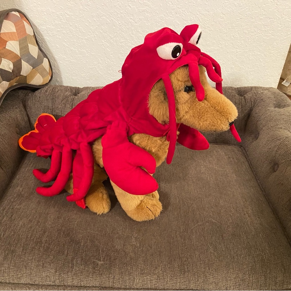 Lobster Pet Costume. Size Medium
